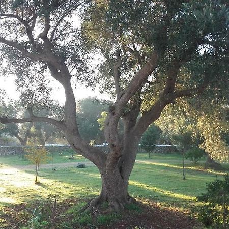 Sol Invictus Est Villa Serranova Eksteriør bilde