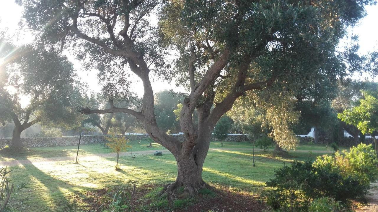 Sol Invictus Est Villa Serranova Eksteriør bilde