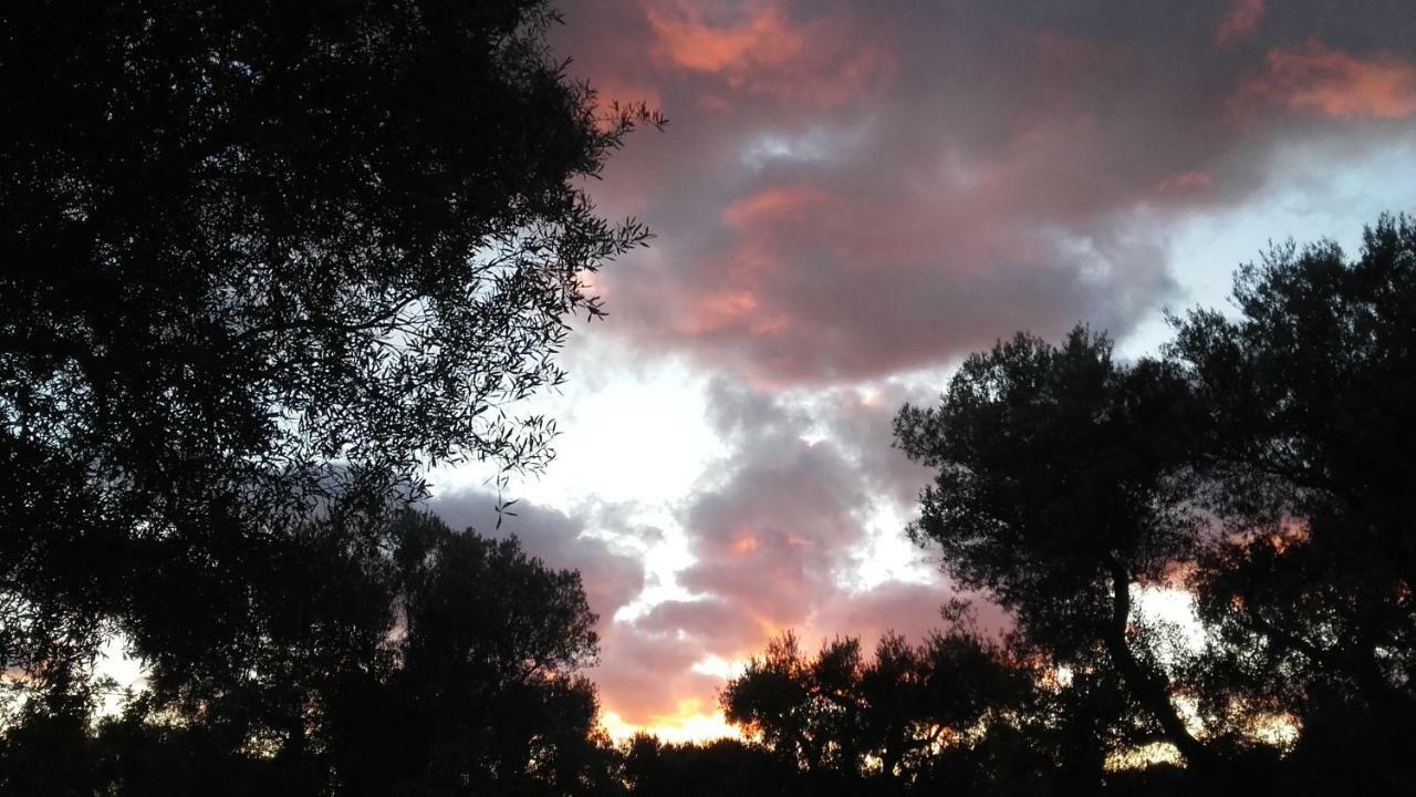 Sol Invictus Est Villa Serranova Eksteriør bilde